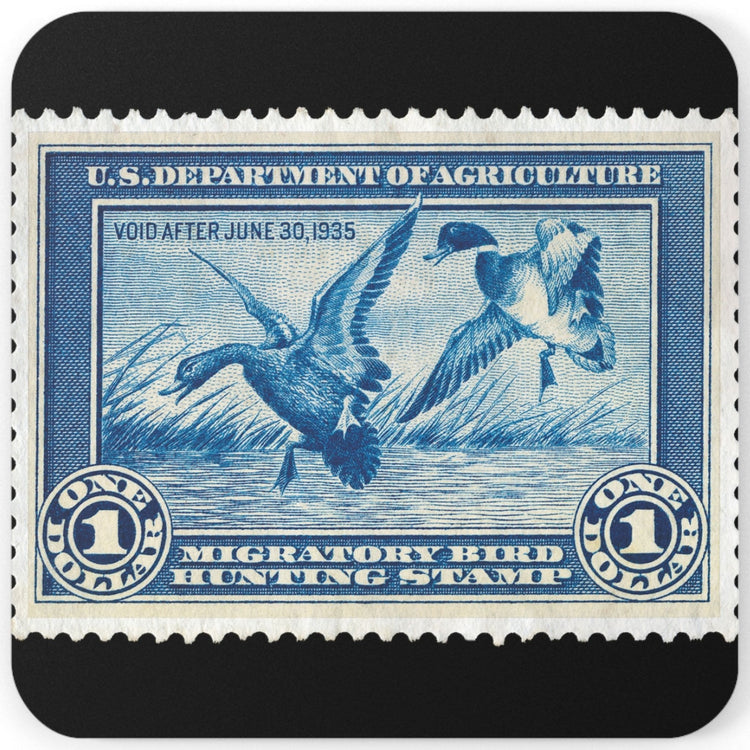 Official 1934-1935 Federal Duck Stamp - Cork Back Coaster