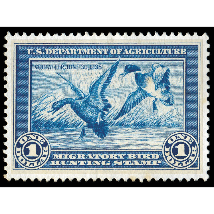 Official 1934 - 1935 Federal  Duck Stamp-Metal Sign