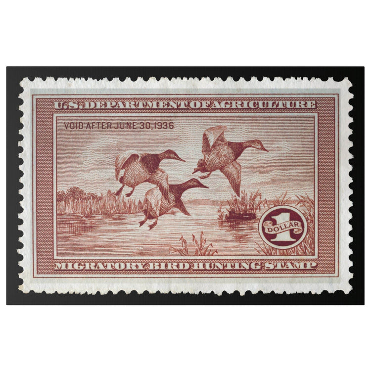 Official 1935 - 1936 Federal Duck Stamp - Canvas Sign