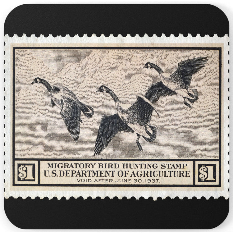 Official 1936-1937 Federal Duck Stamp - Cork Back Coaster