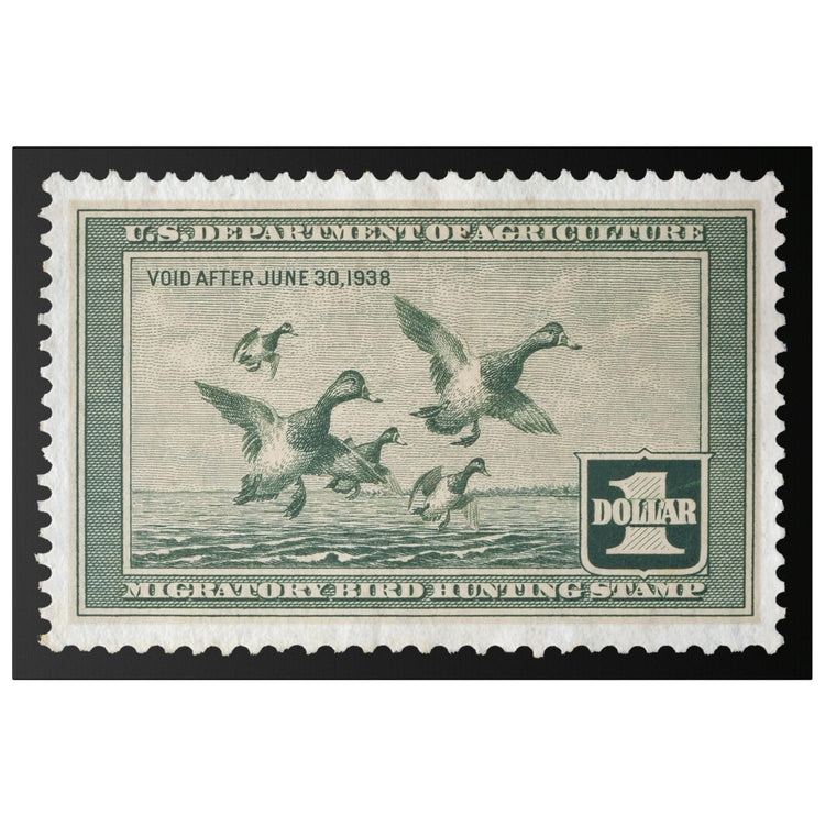 Official 1937 - 1938 Federal Duck Stamp - Canvas Sign