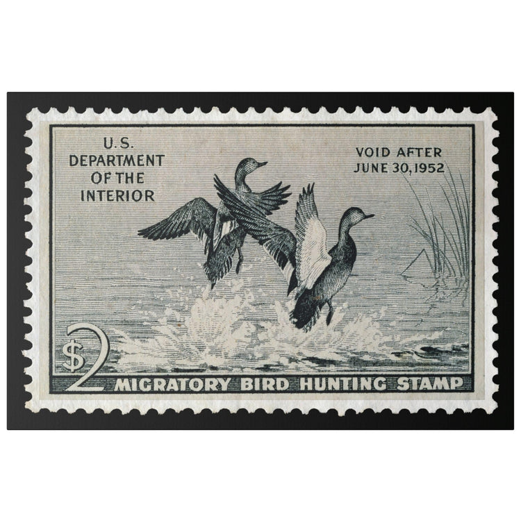 Official 1951 - 1952 Federal Duck Stamp - Canvas Sign