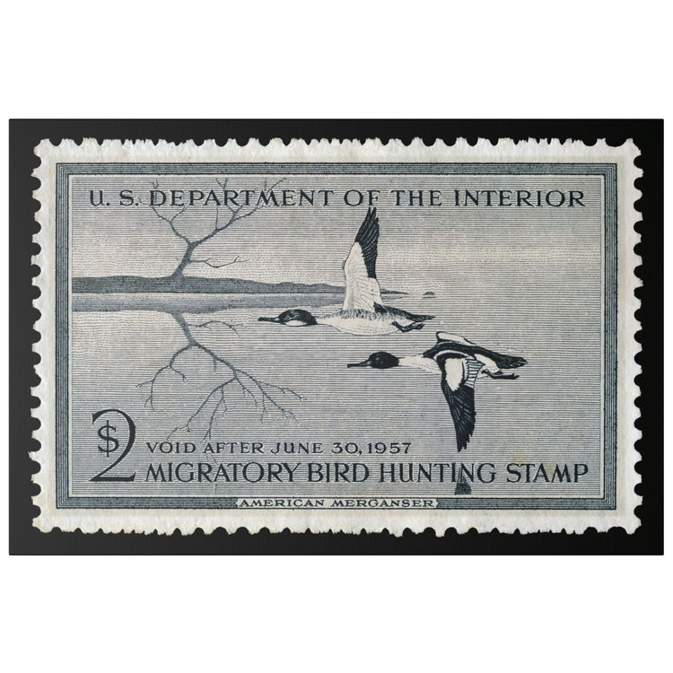 Official 1956 - 1957 Federal Duck Stamp - Canvas Sign