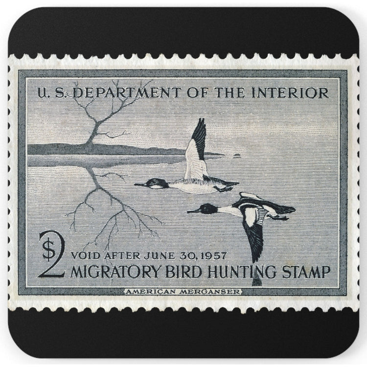 Official 1956-1957 Federal Duck Stamp - Cork Back Coaster