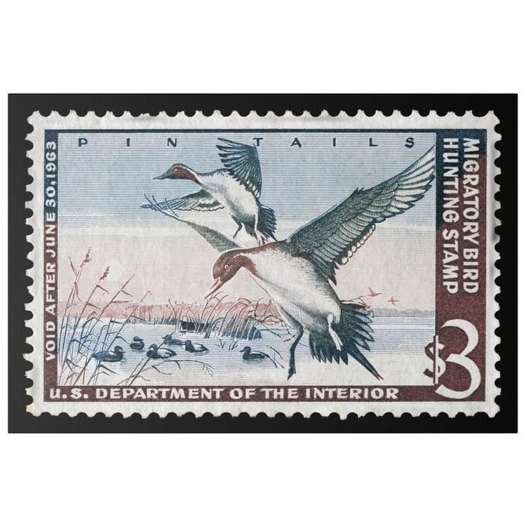 Official 1962 - 1963 Federal Duck Stamp - Canvas Sign