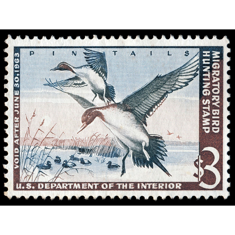 Official 1962 - 1963 Federal Duck Stamp - Metal Sign