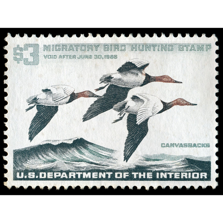 Official 1965 - 1966 Federal Duck Stamp - Metal Sign