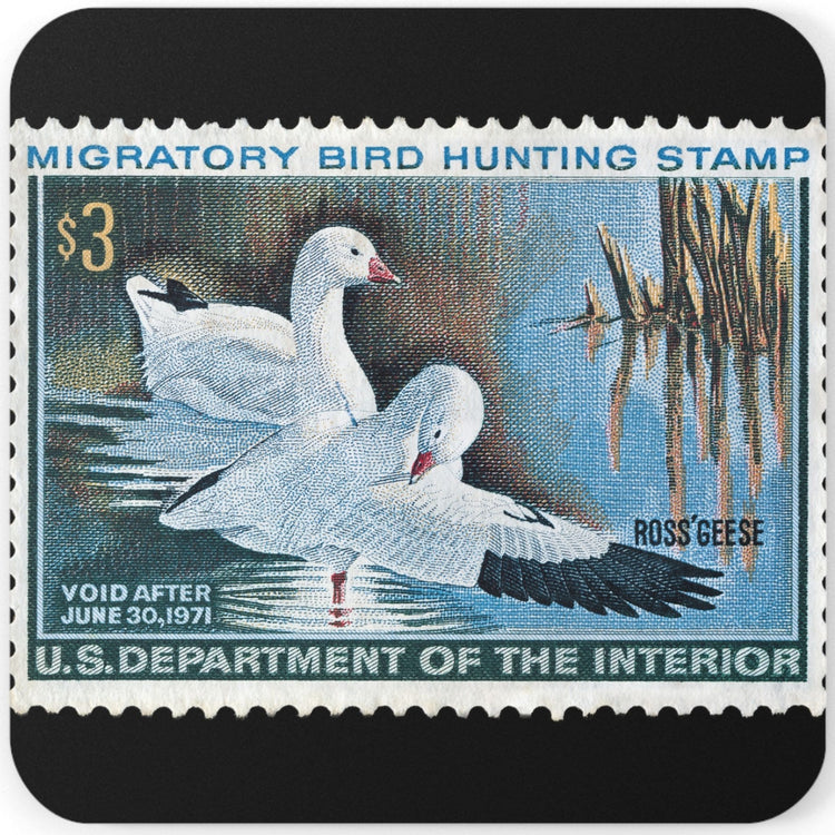 Official 1970-1971 Federal Duck Stamp - Cork Back Coaster