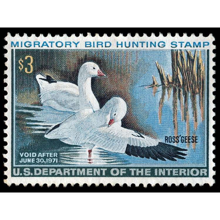 Official 1970 - 1971 Federal Duck Stamp - Metal Sign