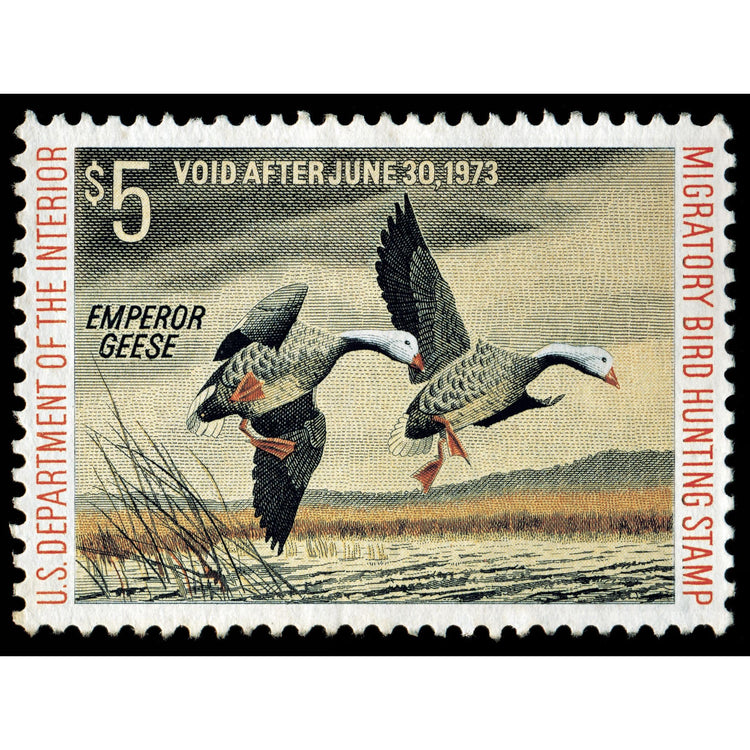 Official 1972 - 1973 Federal Duck Stamp - Metal Sign