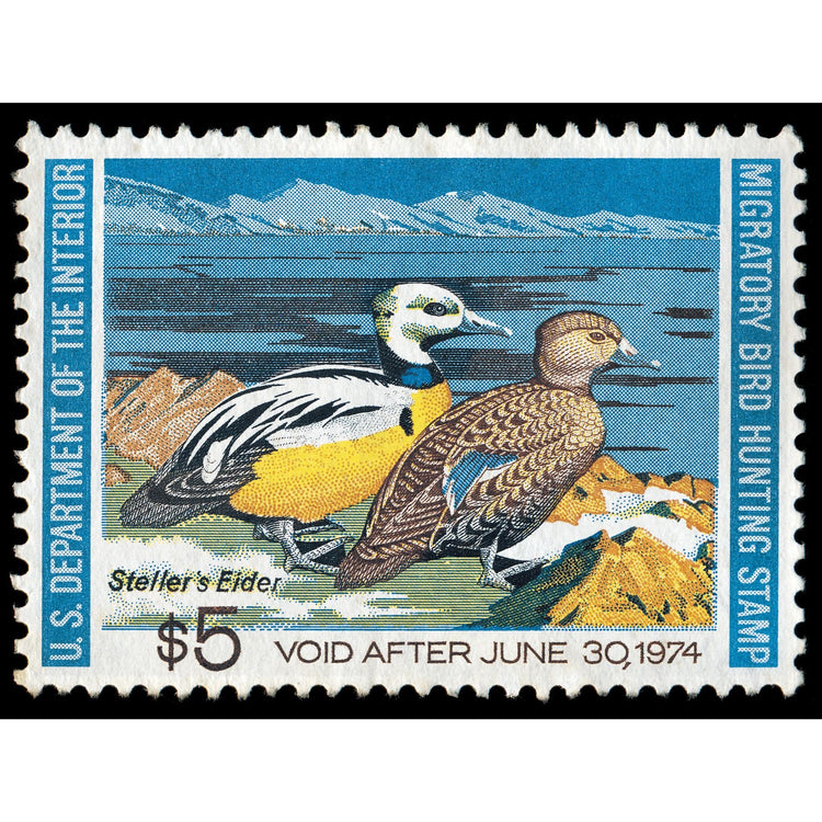 Official 1973 - 1974 Federal Duck Stamp - Metal Sign