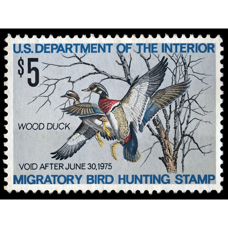 Official 1974 - 1975 Federal Duck Stamp - Metal Sign