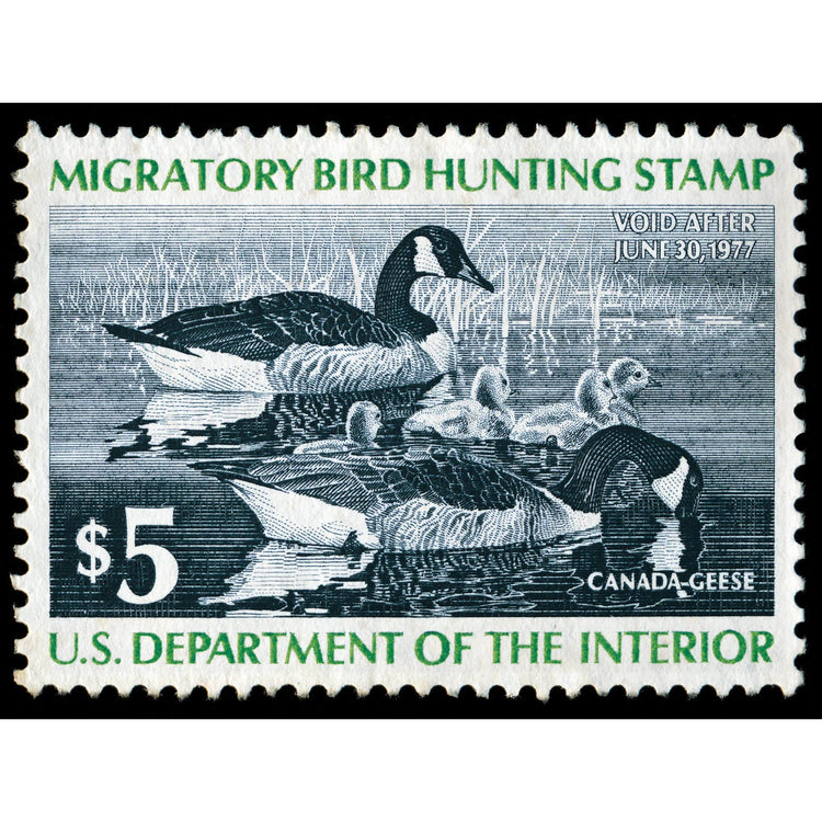 Official 1976 -1977 Federal Duck Stamp-Metal Sign