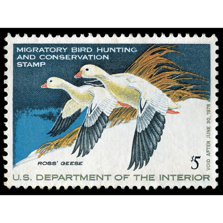 Official 1977 -1978 Federal Duck Stamp-Metal Sign