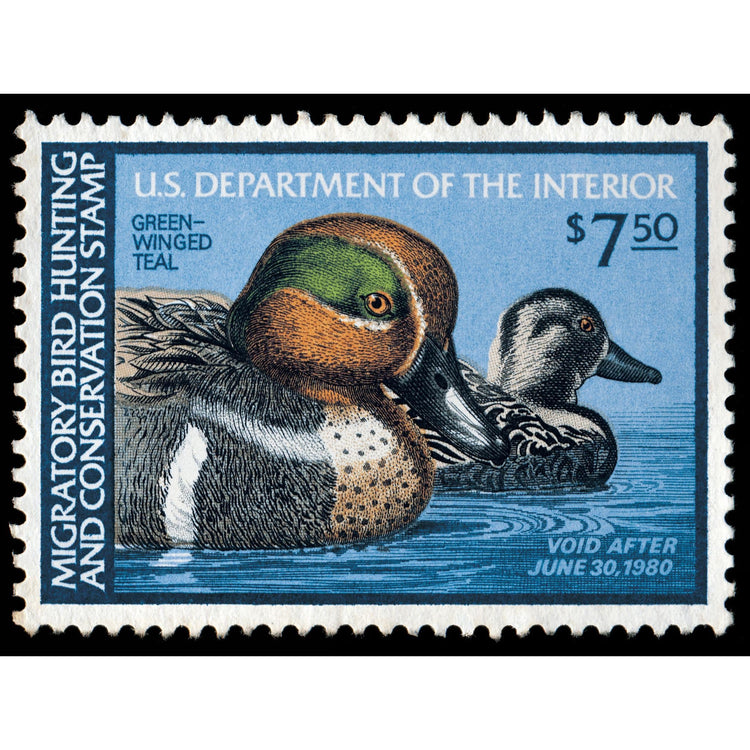 Official 1979 -1980 Federal Duck Stamp-Metal Sign