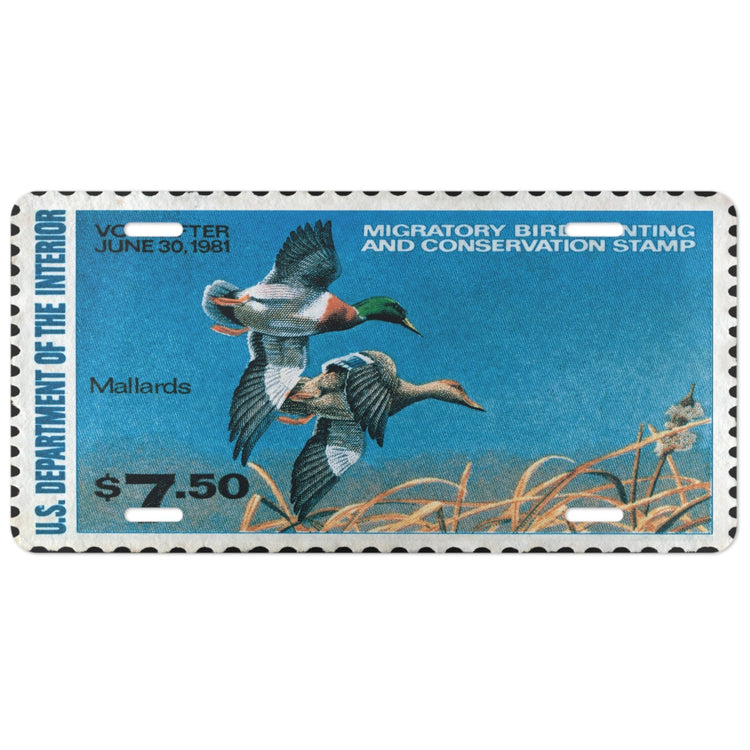 Official 1980 - 1981 Federal Duck Stamp - License Plate