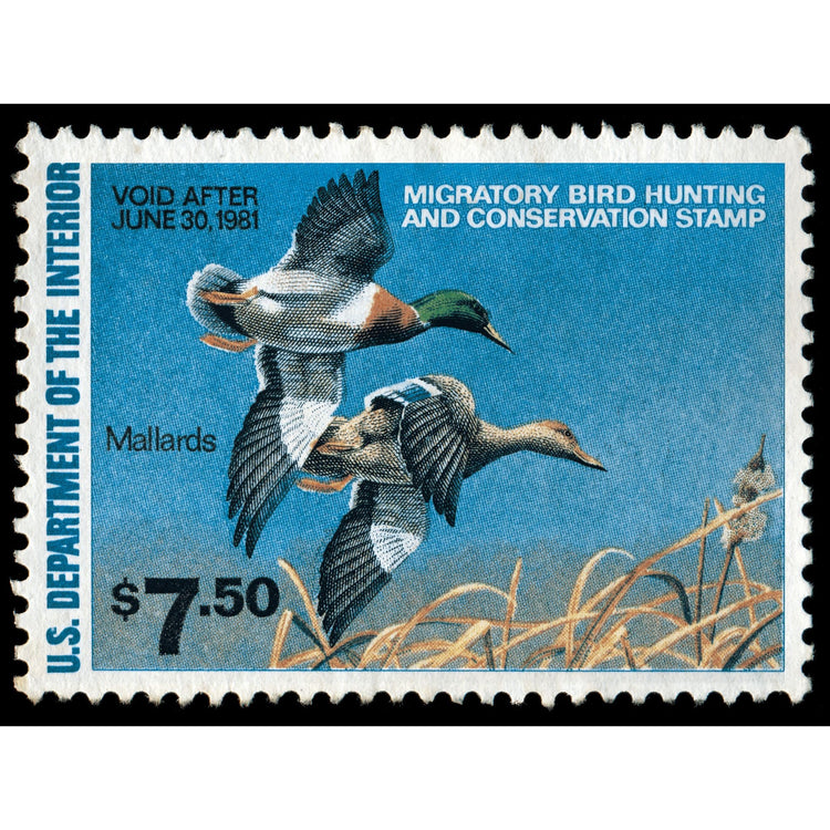 Official 1980 -1981 Federal Duck Stamp-Metal Sign