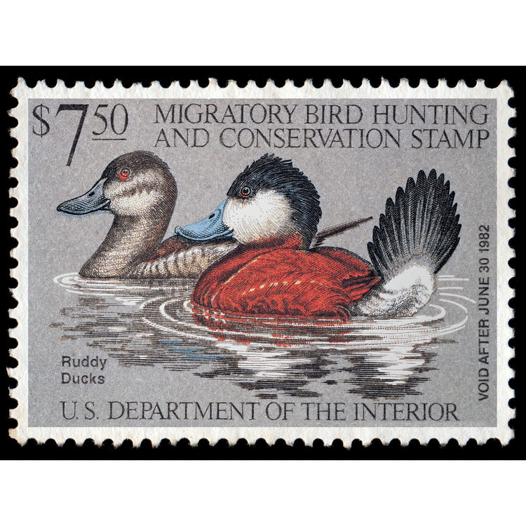 Official 1981 -1982 Federal Duck Stamp-Metal Sign