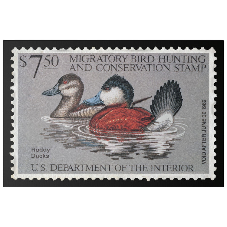 Official 1981 - 1982 Federal Duck Stamp - Canvas Sign