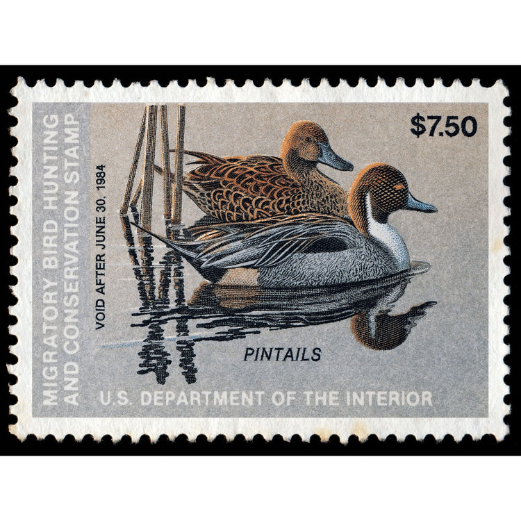 Official 1983 -1984 Federal Duck Stamp-Metal Sign