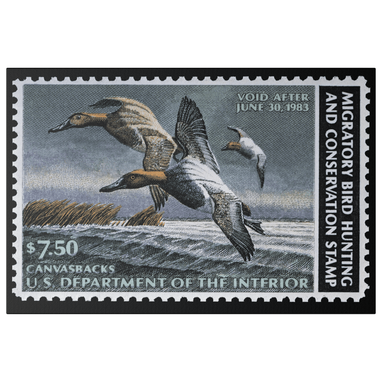 Official 1982 - 1983 Federal Duck Stamp - Canvas Sign