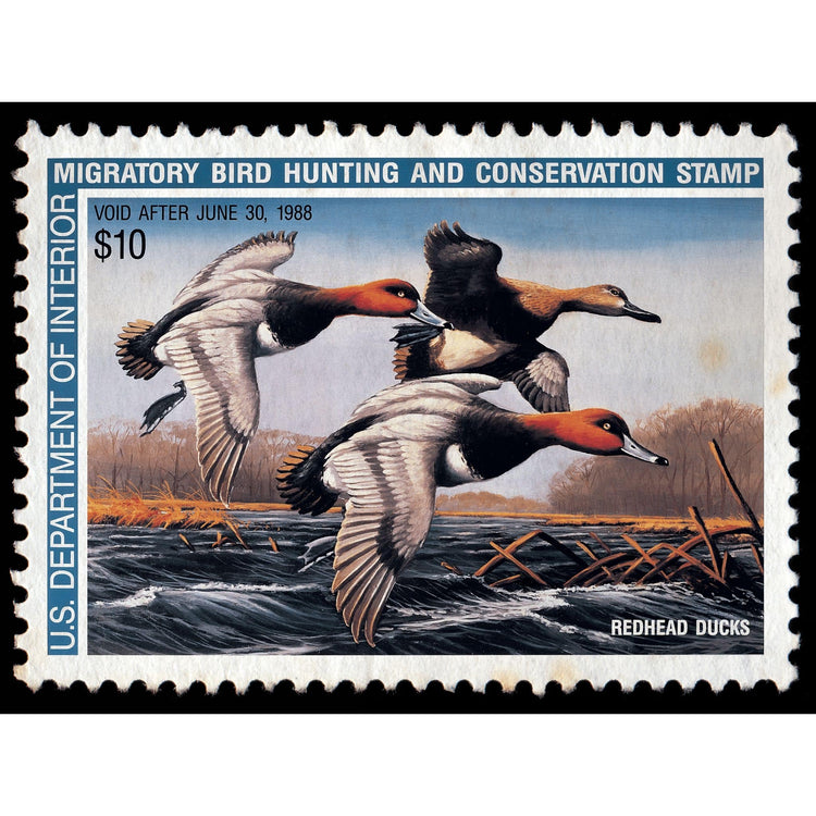 Official 1987 - 1988 Federal Duck Stamp-Metal Sign