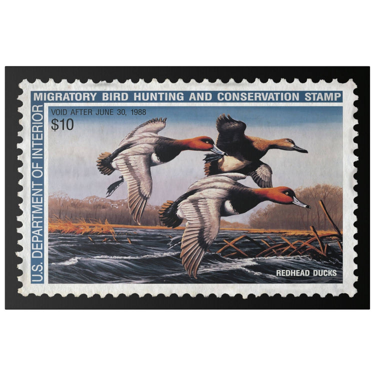 Official 1987 - 1988 Federal Duck Stamp - Canvas Sign