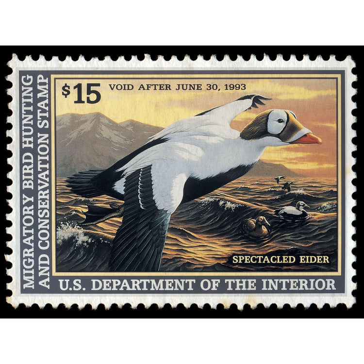 Official 1992 - 1993 Federal Duck Stamp - Metal Sign