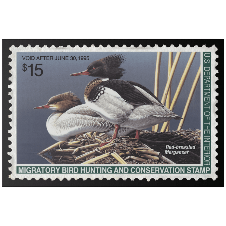 Official 1994 - 1995 Federal Duck Stamp - Canvas Sign