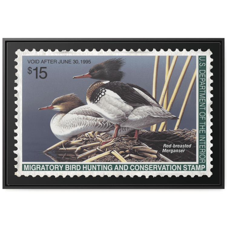 Official 1994 - 1995 Federal Duck Stamp - Canvas Sign