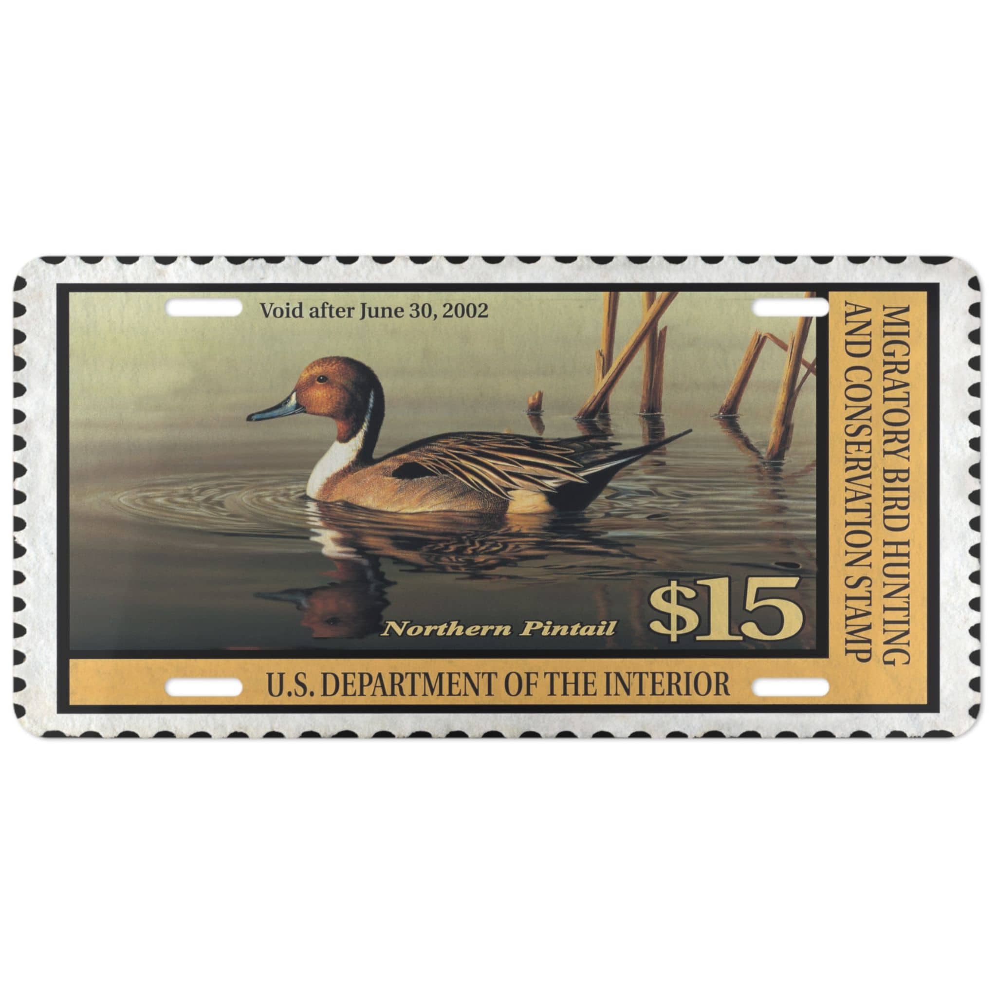 For The Ducks
