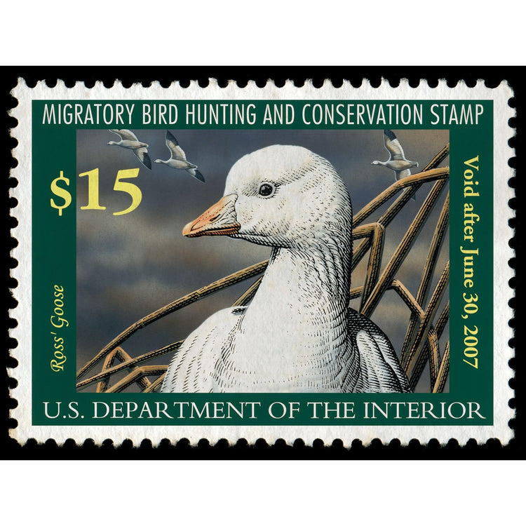 Official 2006 - 2007 Federal Duck Stamp-Metal Sign