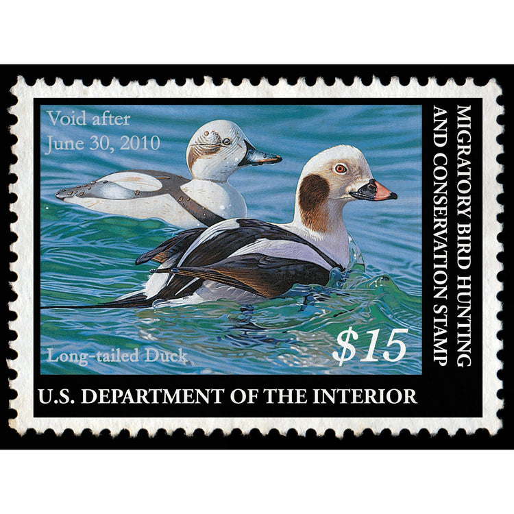 Official 2009 - 2010 Federal Duck Stamp-Metal Sign