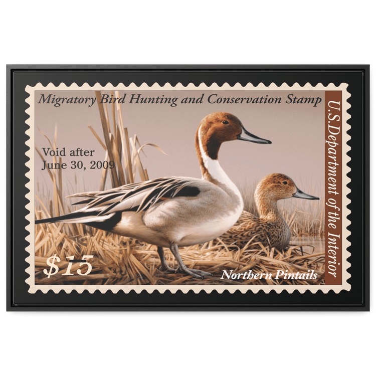 Official 2008 - 2009 Federal Duck Stamp - Canvas Sign