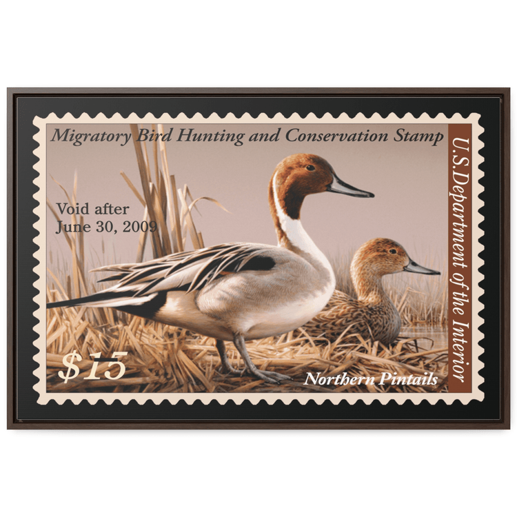 Official 2008 - 2009 Federal Duck Stamp - Canvas Sign