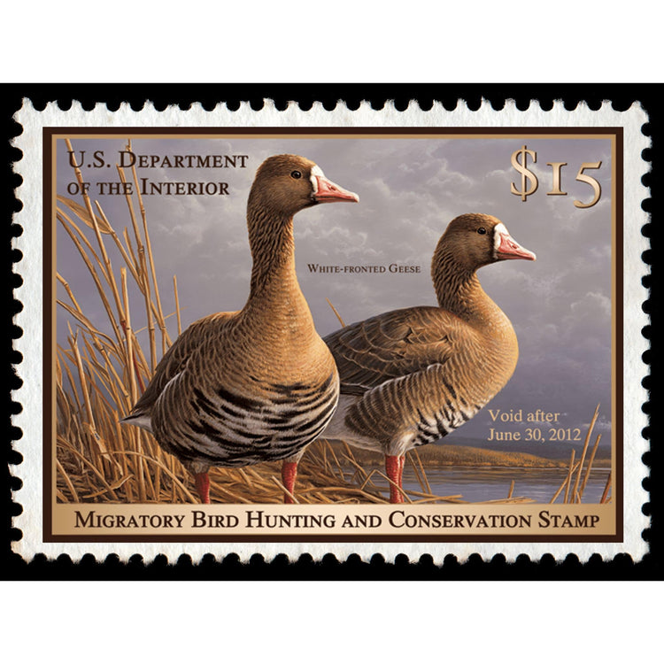 Official 2011 - 2012 Federal Duck Stamp-Metal Sign