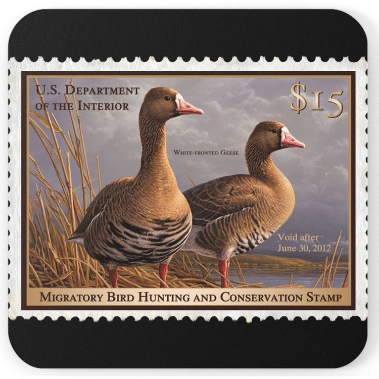 Official 2011-2012 Federal Duck Stamp - Cork Back Coaster