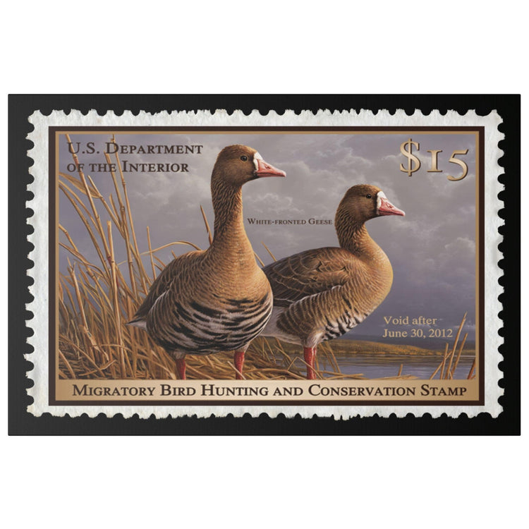 Official 2011 - 2012 Federal Duck Stamp - Canvas Sign