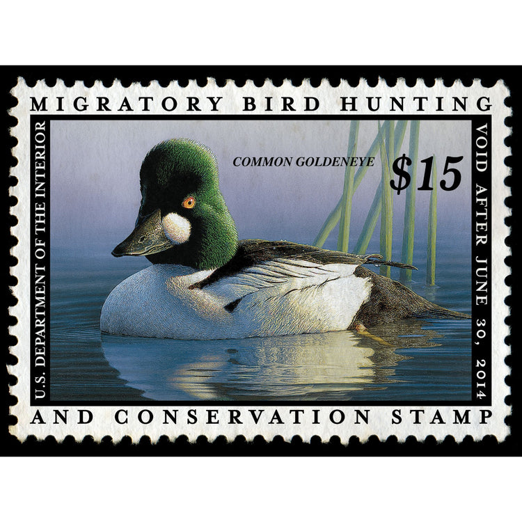 Official 2013-2014 Federal Duck Stamp-Metal Sign