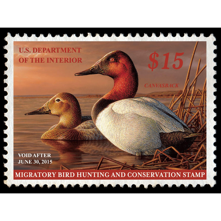 Official 2014 -2015 Federal Duck Stamp-Metal Sign