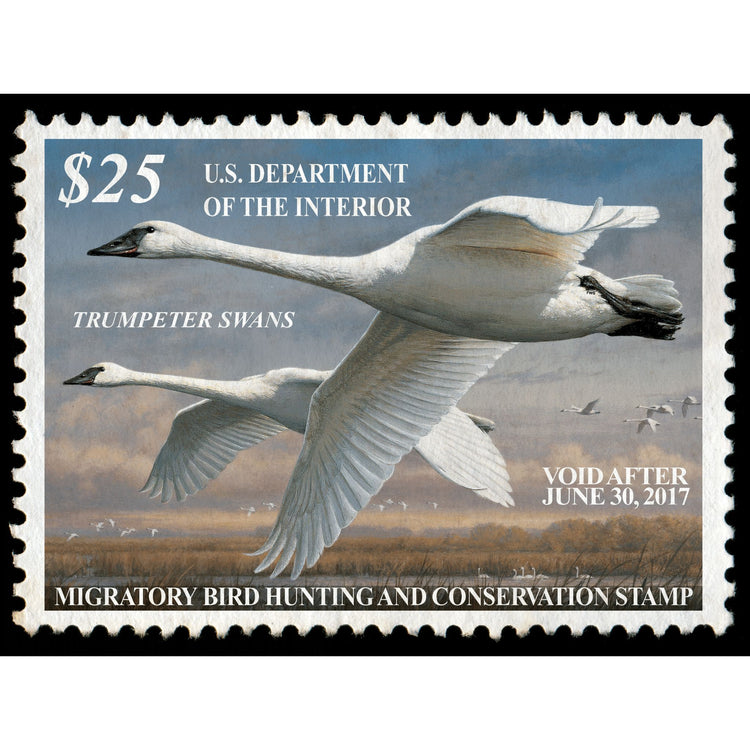 Official 2016 - 2017 Federal Duck Stamp-Metal Sign