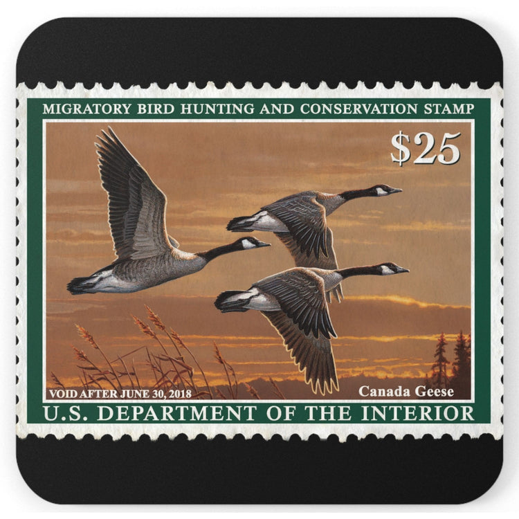 Official 2017-2018 Federal Duck Stamp - Cork Back Coaster