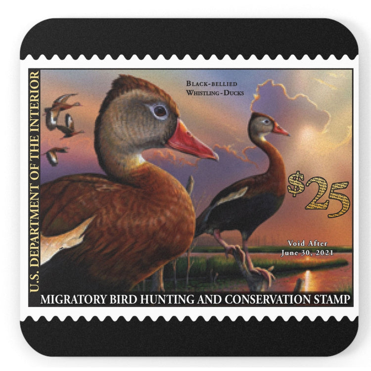 Official 2020-2021 Federal Duck Stamp - Cork Back Coaster