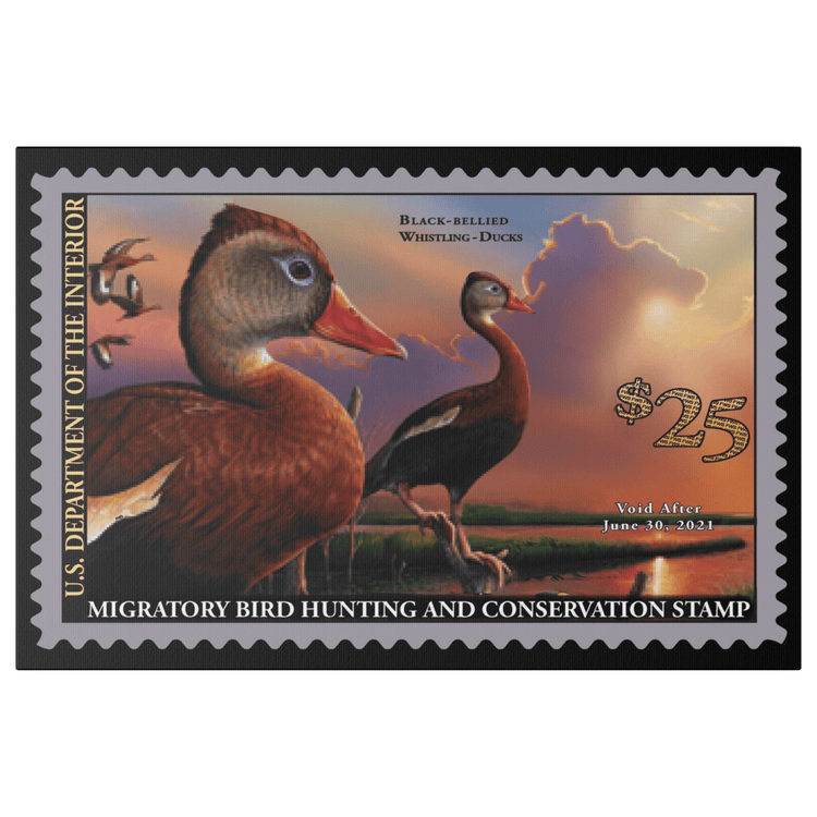 Official 2020 - 2021 Federal Duck Stamp - Canvas Sign