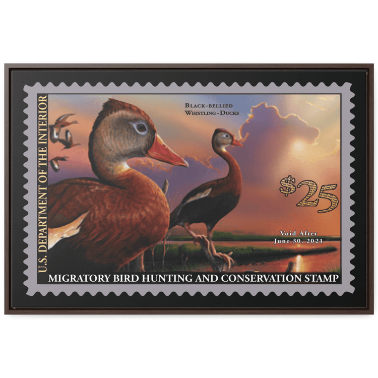 Official 2020 - 2021 Federal Duck Stamp - Canvas Sign