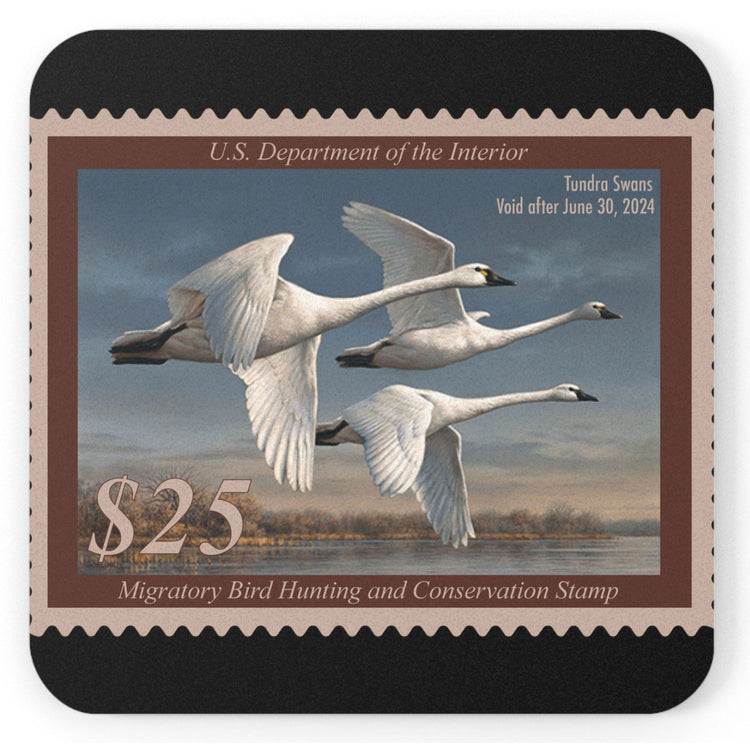 Official 2023-2024 Federal Duck Stamp - Cork Back Coaster