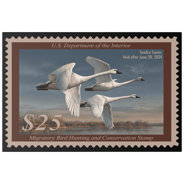 Official 2023 - 2024 Federal Duck Stamp - Canvas Sign