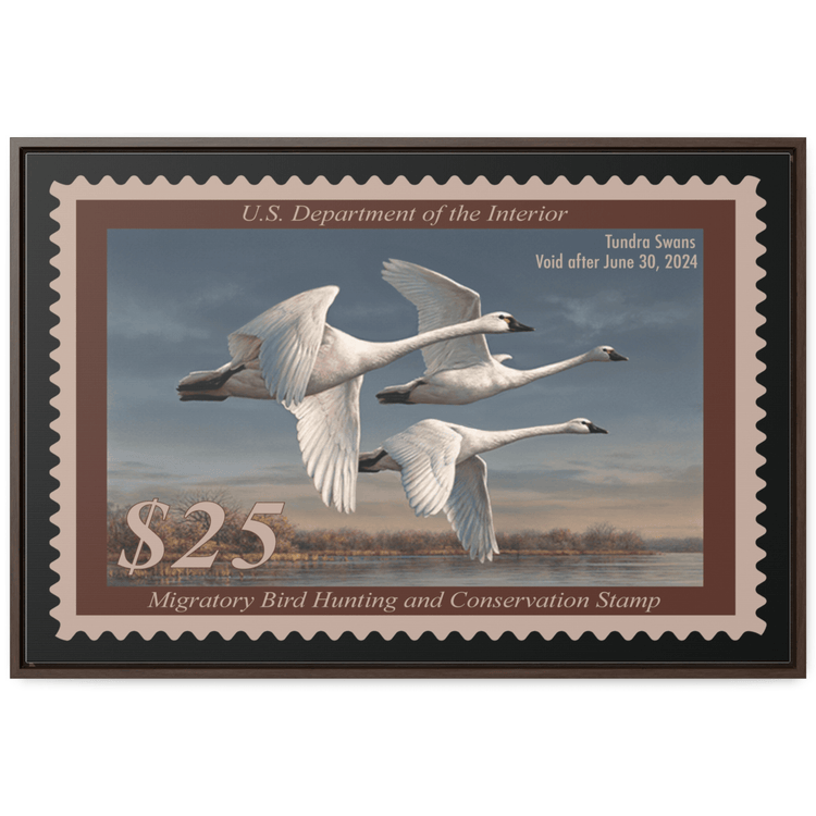 Official 2023 - 2024 Federal Duck Stamp - Canvas Sign