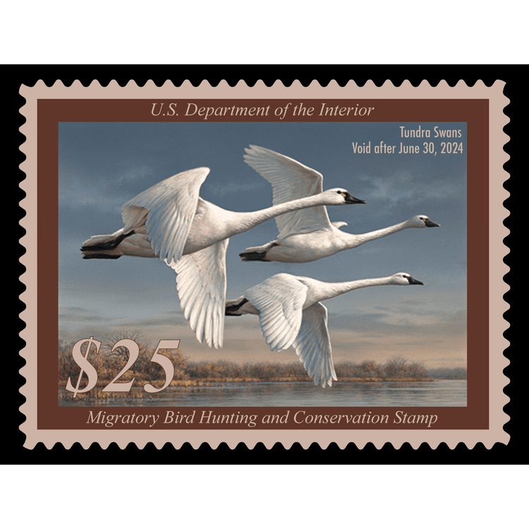 Official 2023 - 2024 Federal Duck Stamp - Metal Sign