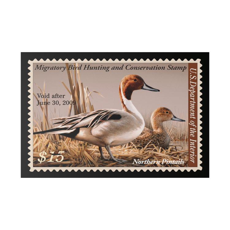 Official 2008 - 2009 Federal Duck Stamp - Canvas Sign